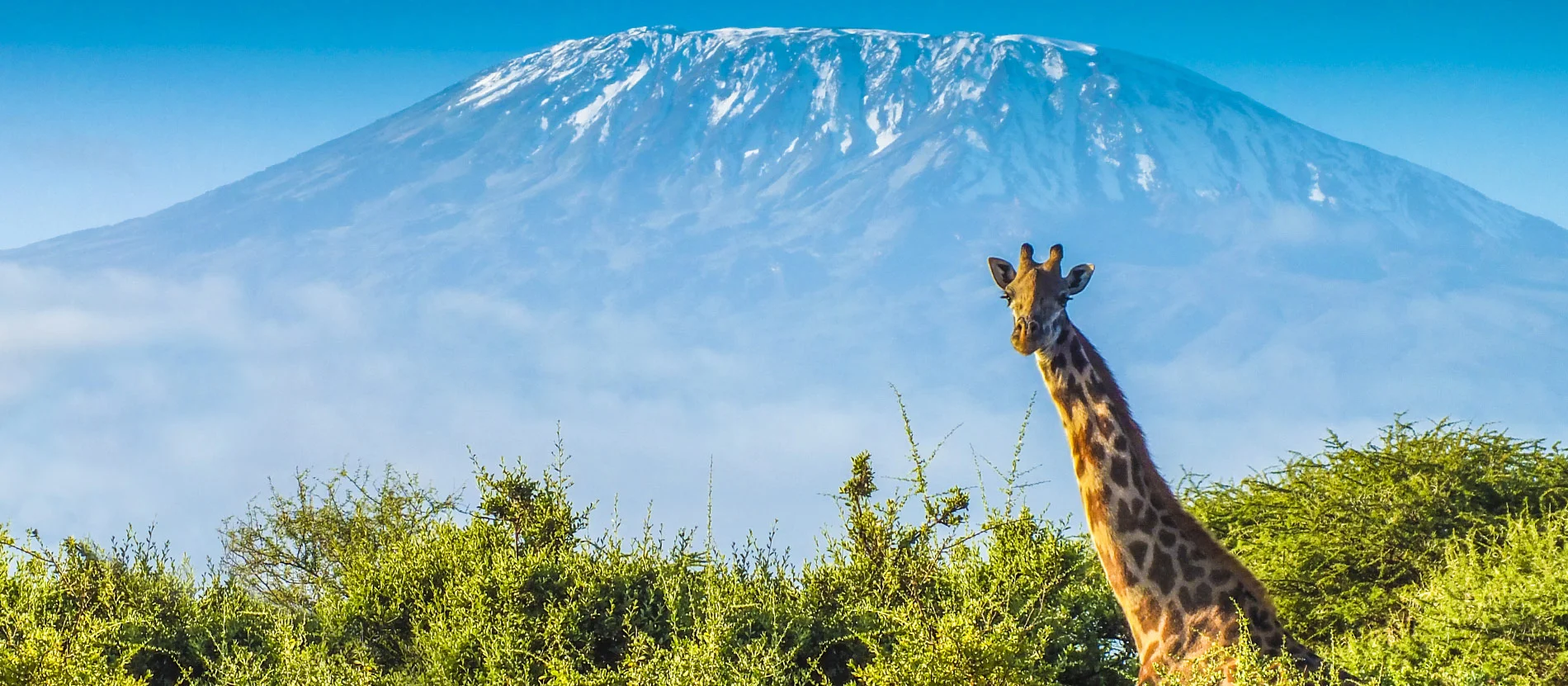 Amazing Things to Do in Africa Amazing Things to Do in Africa