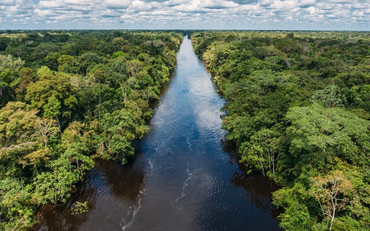 Ecuador | Amazon River Expeditions Are Becoming the Next Big Journey for Remote Travel Seekers