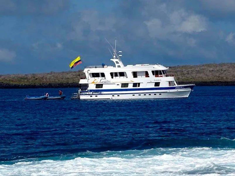 Galapagos West Islands Safari 8-Day: Fernandina & Isabela - Angelito Yacht | Angelito | Galapagos Tours