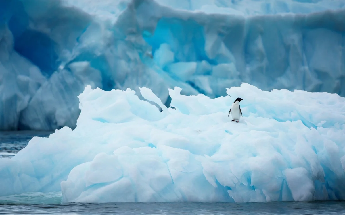  Antarctica | Antarctica 2026 Is Already Becoming a Tight Booking Game
