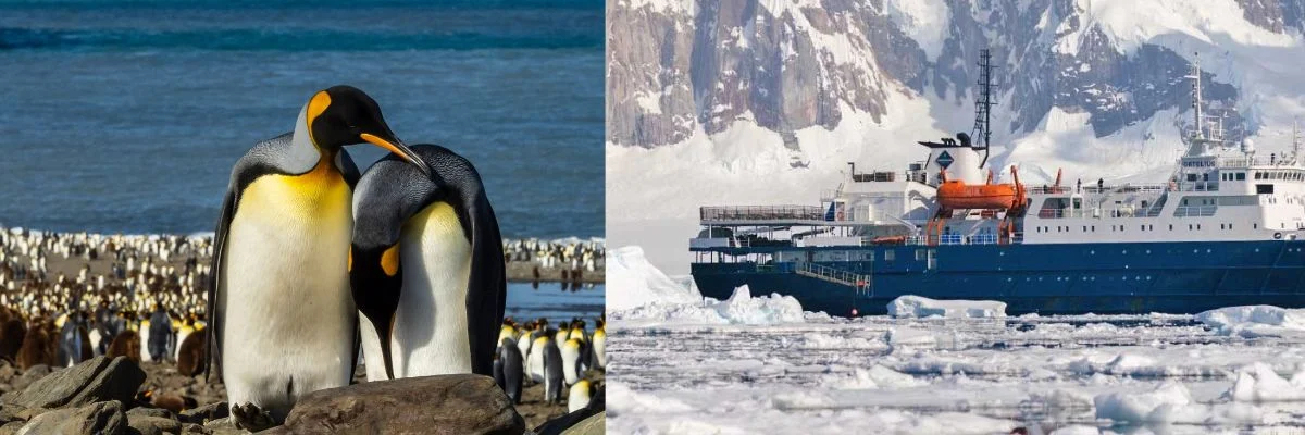  Antarctica | Antarctica Expeditions Offer Up to 20% Off Weddell Sea Cruises