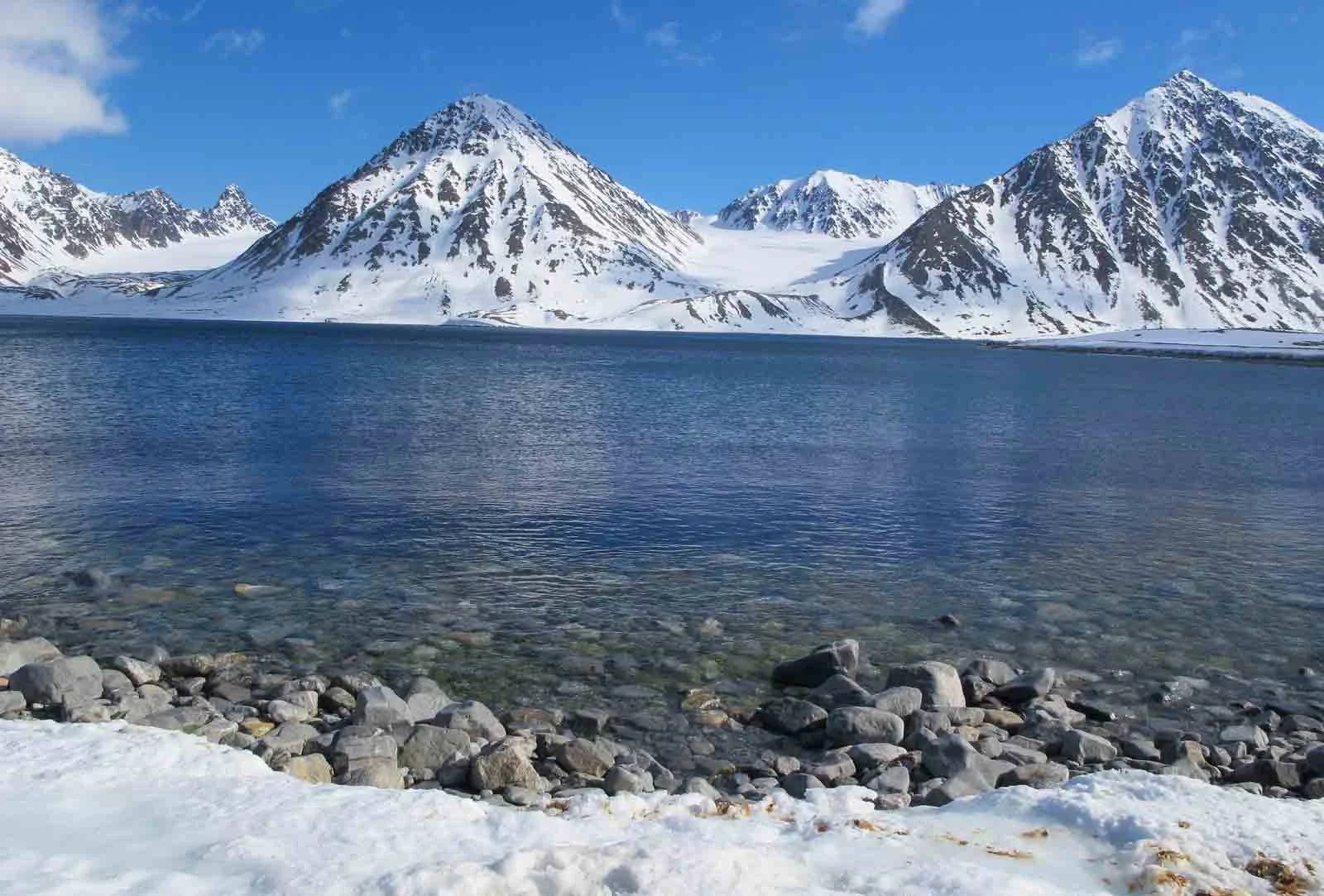  Antarctica | 'Close as one can get to the North Pole': Five things you need to know about cruising Svalbard