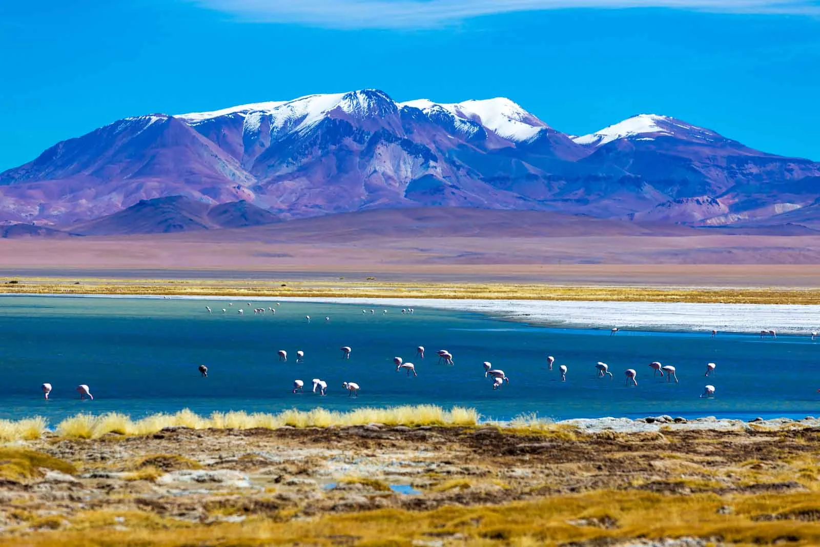  Patagonia | Cornell’s high-powered telescope reaches its destination in Chile