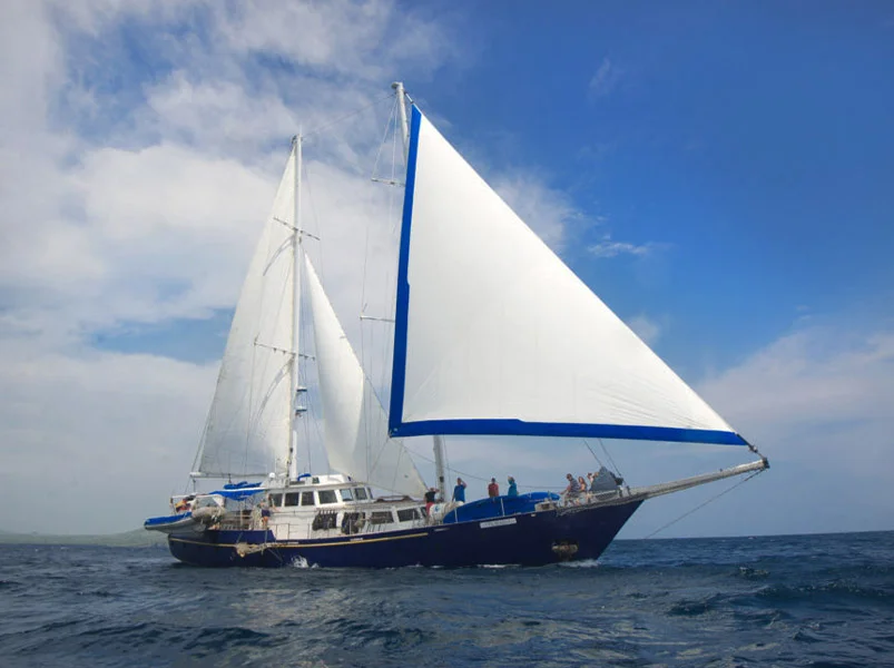 Galapagos South & East - Beagle Sailboat Sail Boat | Beagle Sailboat | Galapagos Tours