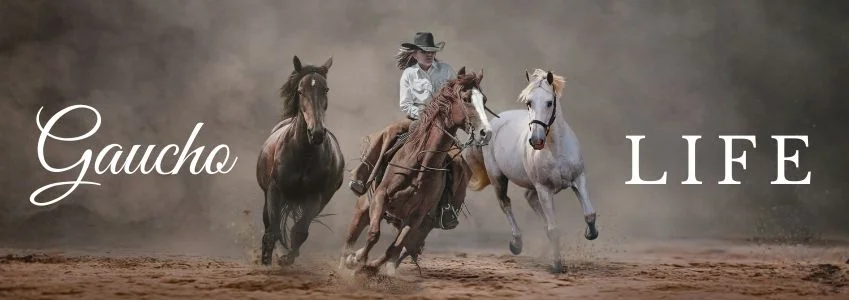  Chile | Experience Authentic Horseback Riding in Patagonia