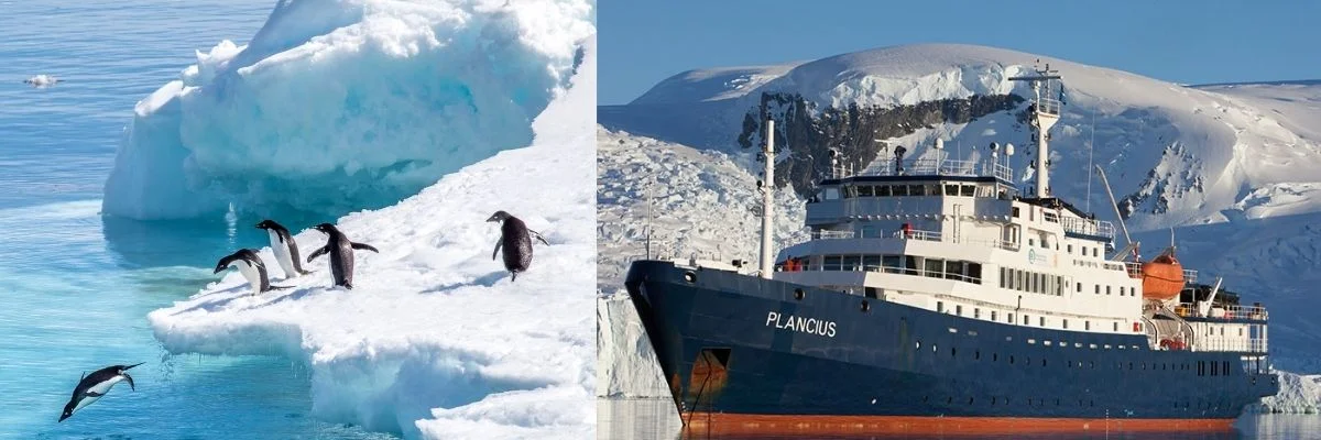 Antarctica | Capture the Beauty: Antarctic Photography Expedition Antarctica | Capture the Beauty: Antarctic Photography Expedition