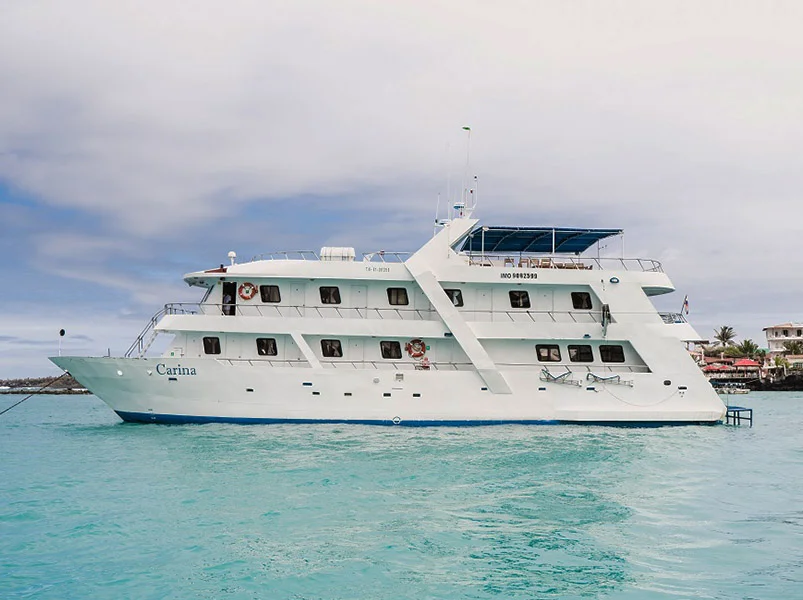 Volcanic Isles Explorer: Isabela & Fernandina - Carina Yacht | Carina | Galapagos Tours