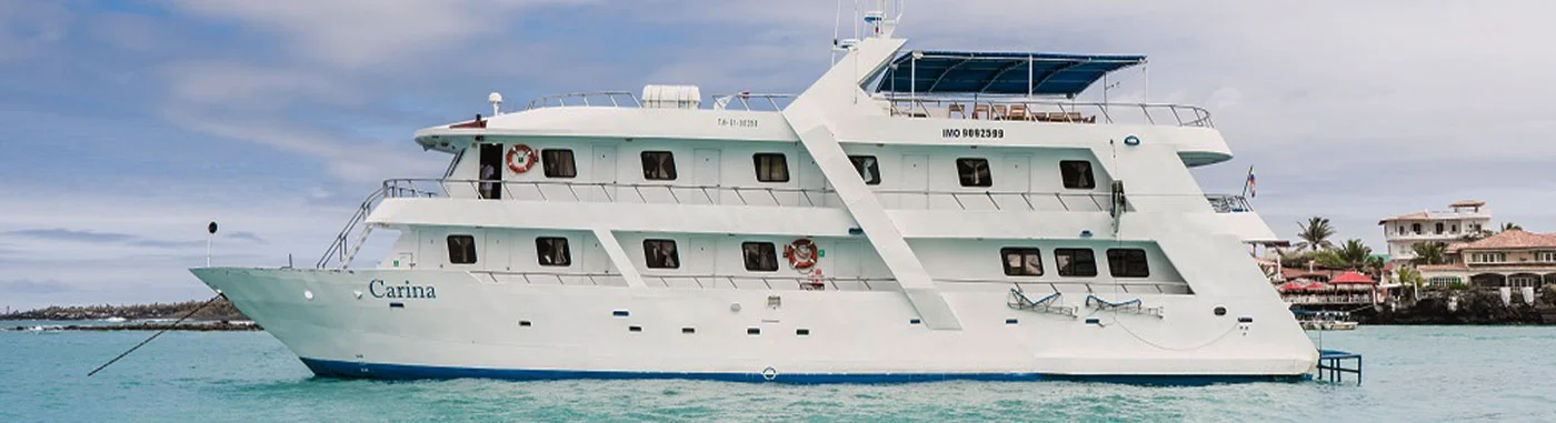 Volcanic Isles Explorer: Isabela & Fernandina - Carina Yacht | Carina | Galapagos Tours