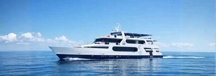  Galapagos | Explore Galapagos: Unforgettable Diving Adventures