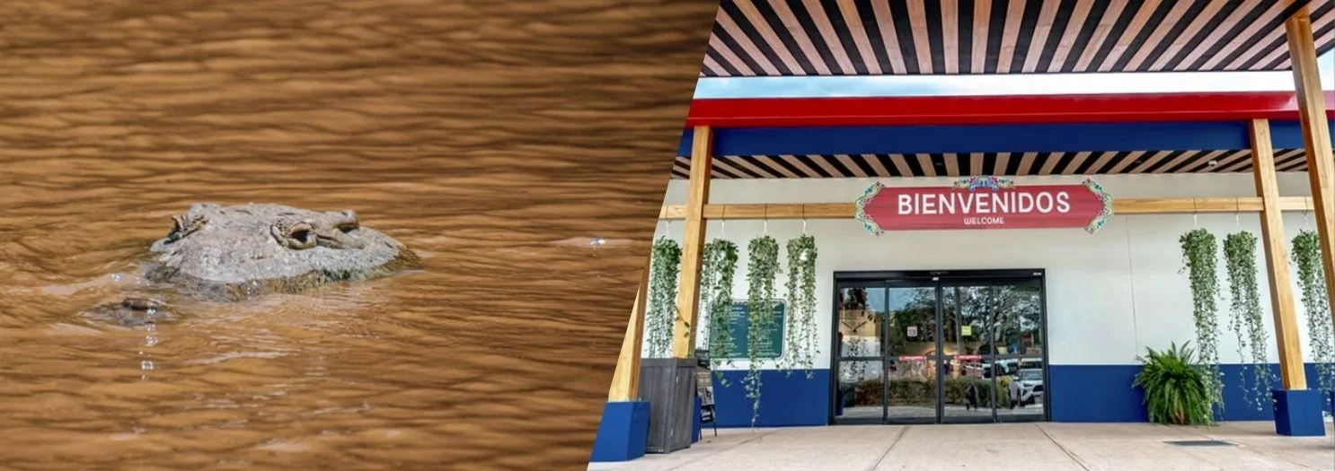 Costa Rica | Discover Costa Rica's Croc Skywalk Experience Costa Rica | Discover Costa Rica's Croc Skywalk Experience