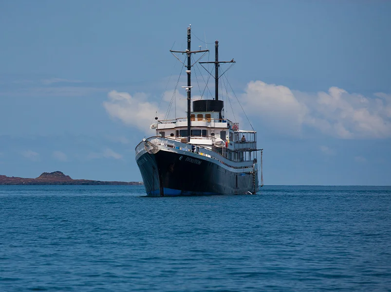 Western Galapagos Journey 8-Day Cruise from Baltra - Evolution Yacht | Evolution | Galapagos Tours
