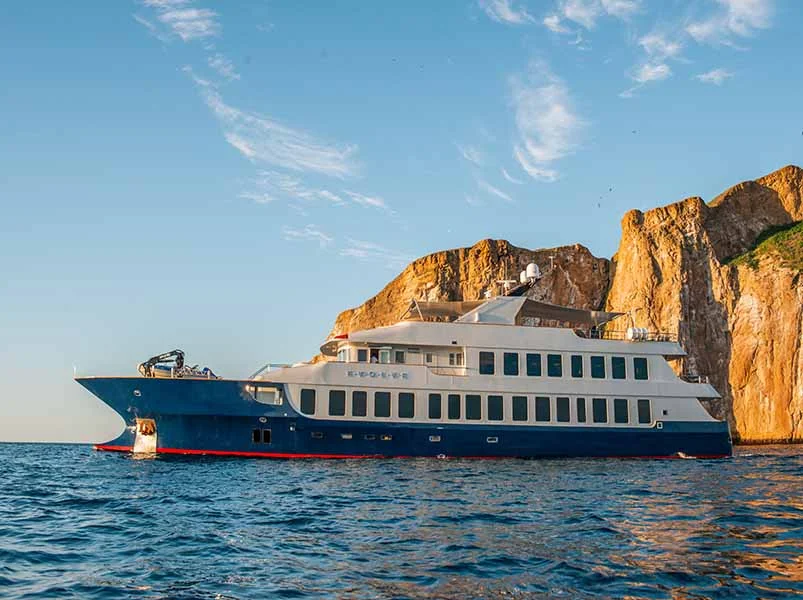 Volcanic Wonder Western & Northern Route - Evolve Yacht | Galapagos Cruise Tours