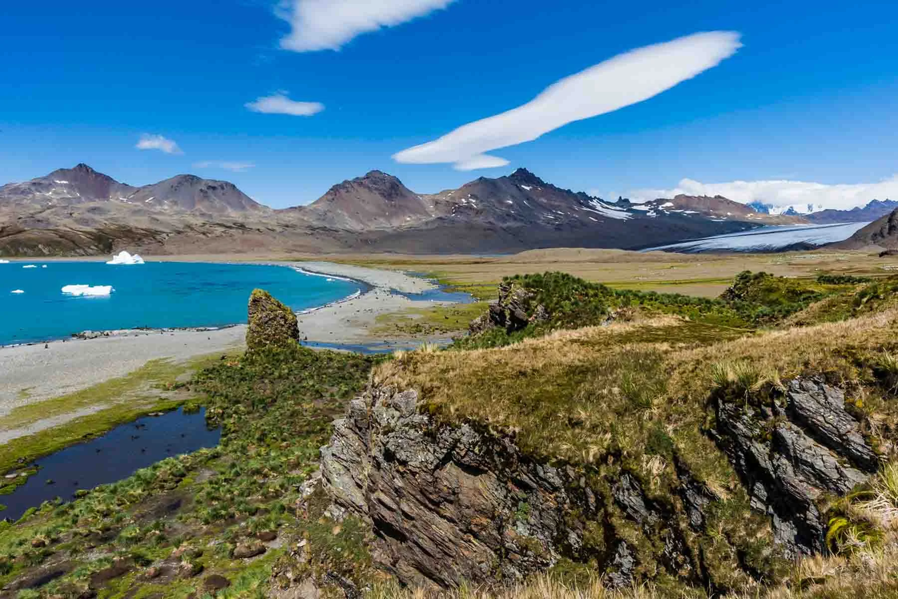 Epic Falkland Islands, South Georgia & Antarctica | Antarctica Tours