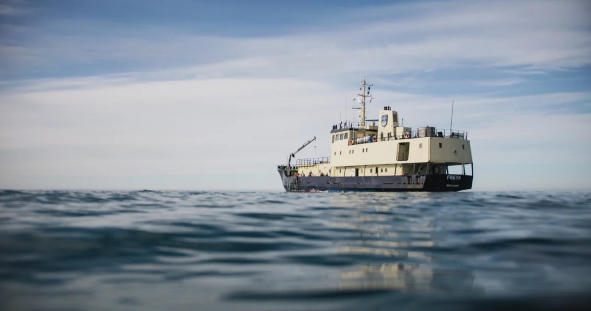 Svalbard Spring Photo Tour w/ Randy Hanna | Antarctica Tours