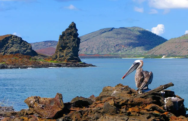  Galapagos | Microplastic monitoring in the Galápagos Islands