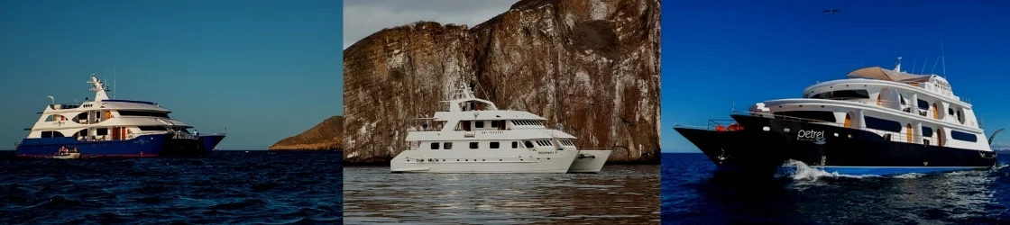 Galapagos | Best Galapagos Islands Tours for Seniors: Luxury Options in 2026 Galapagos | Best Galapagos Islands Tours for Seniors: Luxury Options in 2026