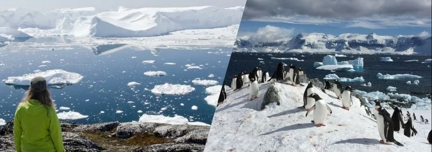  Antartica | Solo Women Travelers: Expedition Cruise Trends