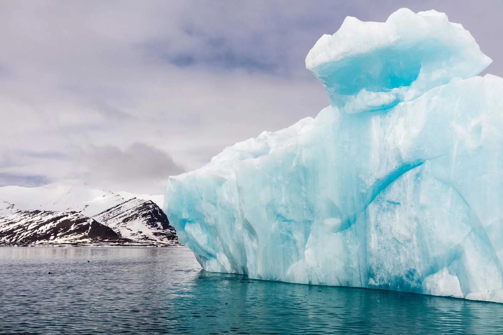 Around Spitsbergen, in the Icy Realm of the Polar Bear | Antarctica Tours
