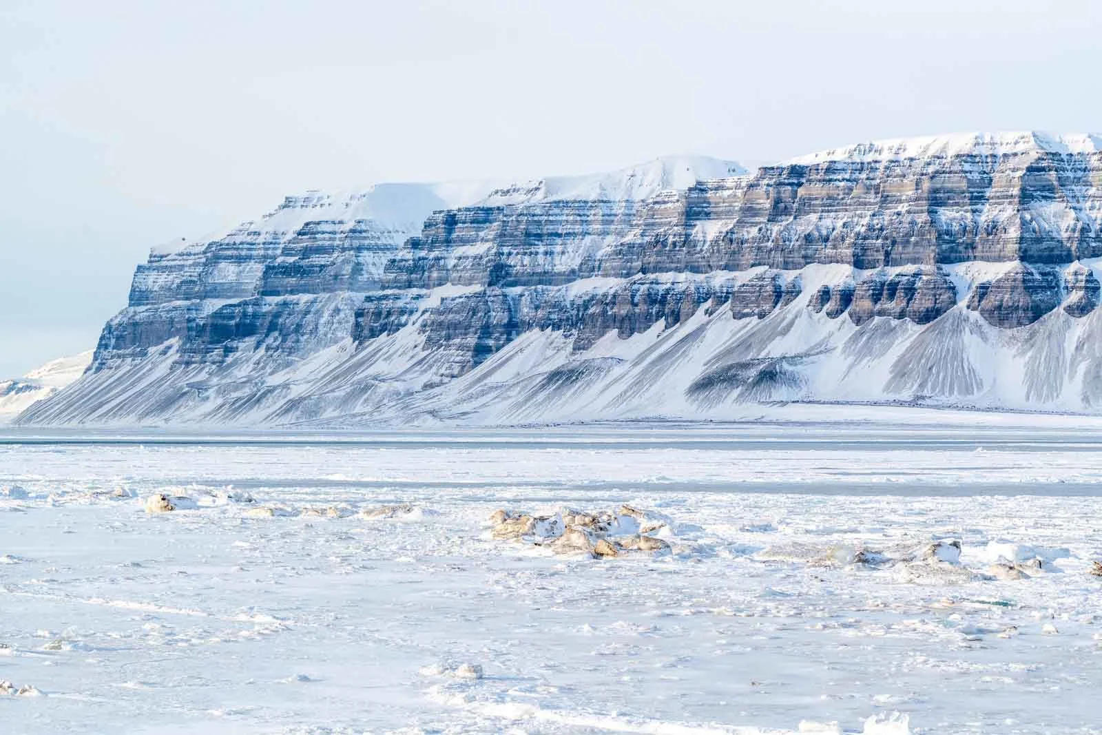 Svalbard: North to the Midnight Sun | Arctic Tours