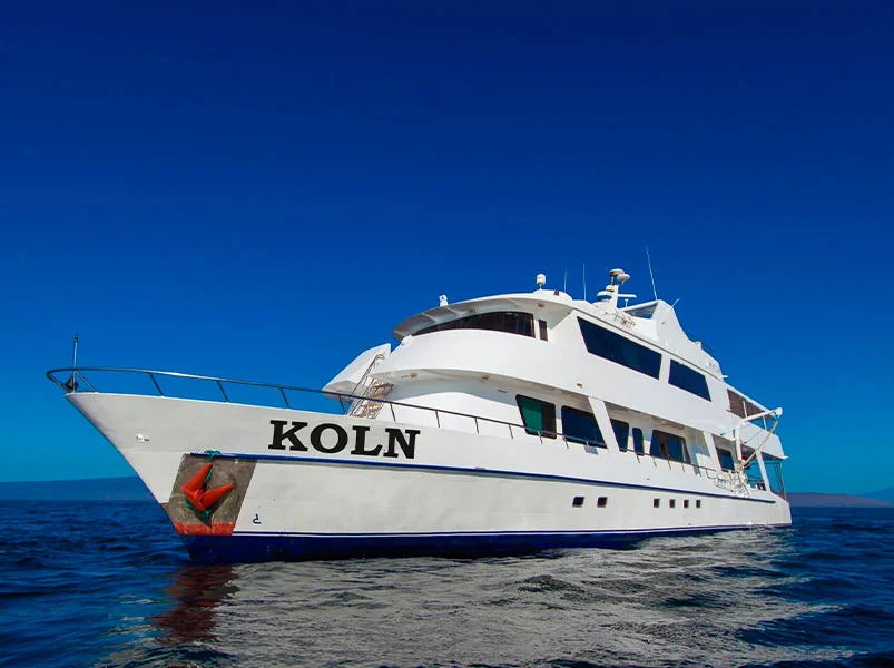 Western Wonders 8-Day Galapagos Cruise - Koln Yacht | Koln | Galapagos Tours