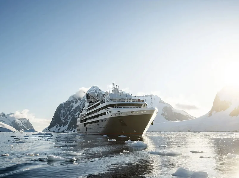 Wild Nature between Argentina and the Falkland Islands | L'Austral | Antarctica Tours