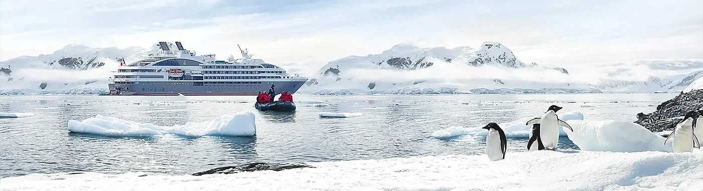 Wild Nature between Argentina and the Falkland Islands | L'Austral | Antarctica Tours