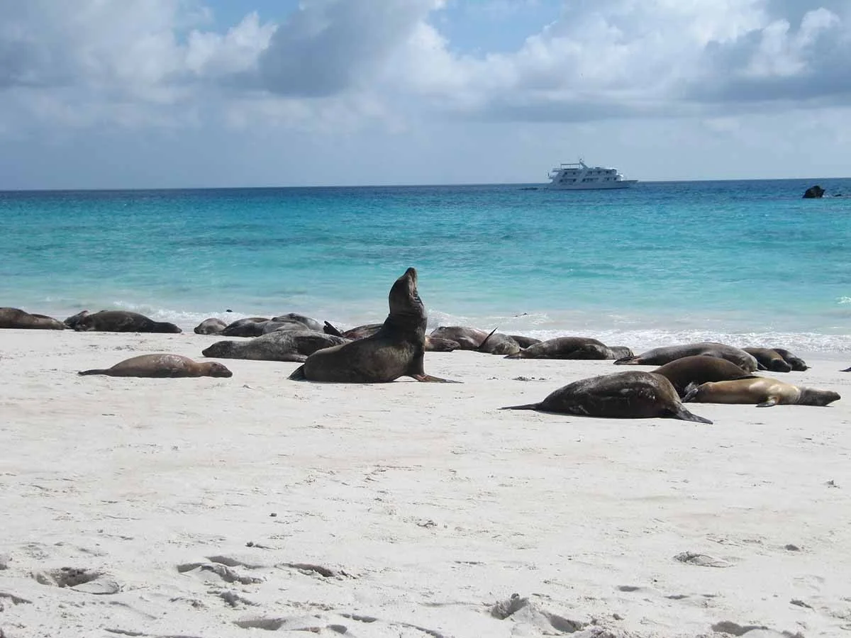 Exploring Galápagos + Machu Picchu and Peru's Land of the Inca - Cruise Tour | Galapagos Cruise Tours