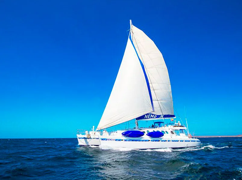 Galapagos Northern Complete 8-Day Cruise - Nemo III Catamaran | Nemo III | Galapagos Tours
