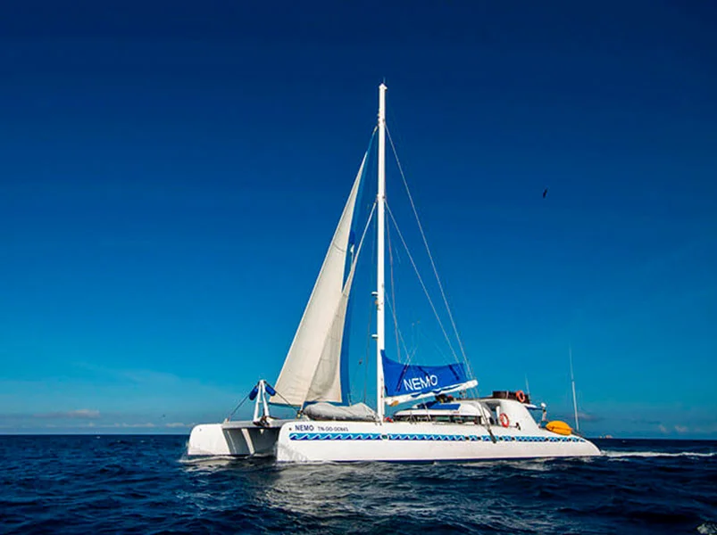 Southeastern Express around Galápagos 4-Day Cruise - Nemo I Catamaran | Galapagos Cruise Tours