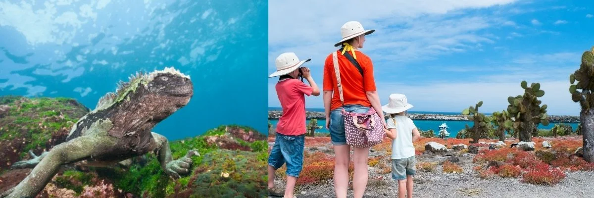 Galapagos | New Digital Compliance for Galápagos Entry Requirements Galapagos | New Digital Compliance for Galápagos Entry Requirements