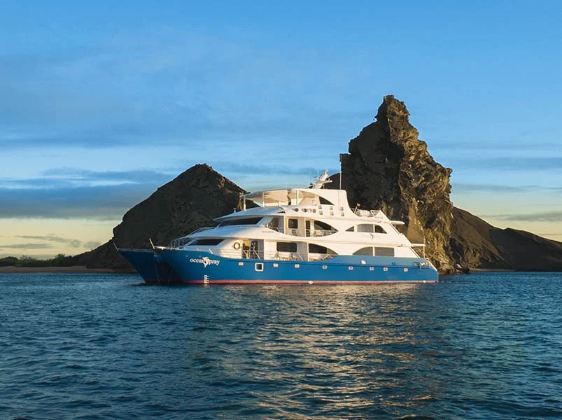 Galapagos 5 days cruise on board the Ocean Spray North and Central islands | Galapagos Cruise Tours
