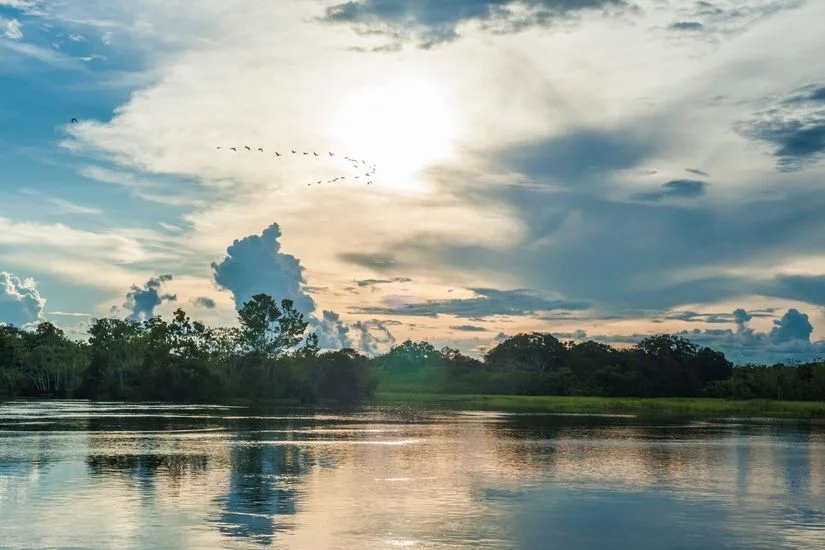 Peru | Pacaya Samiria National Reserve: Explore the Amazon's Hidden Gem Peru | Pacaya Samiria National Reserve: Explore the Amazon's Hidden Gem