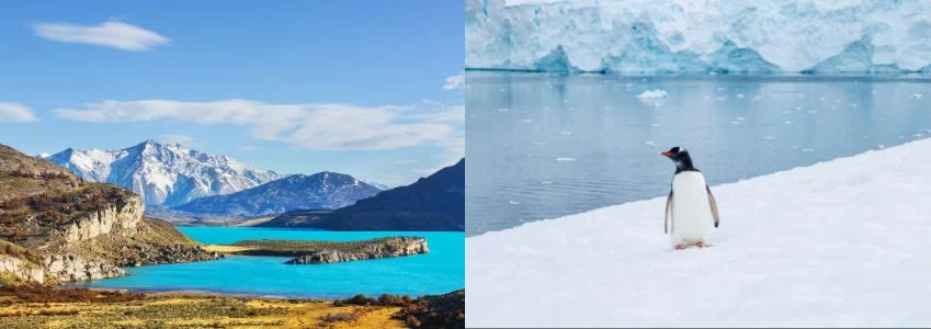  Antarctica Cruises | Where the Wild Still Rules: Patagonia and Antarctica Through the Lens of Exploration