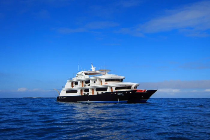 Itinerary 6 Days Cruise Central & Southern Islands - Petrel Catamaran | Galapagos Cruise Tours