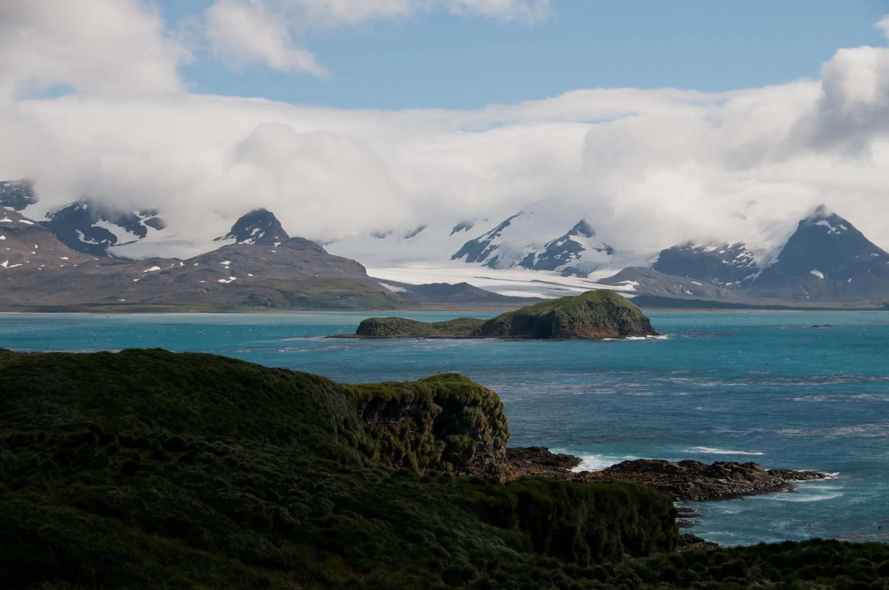 Antarctica & South Georgia Island | Antarctica Tours