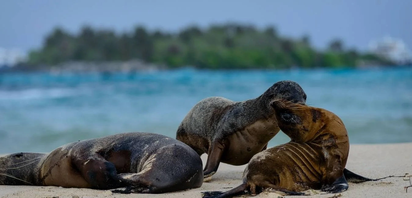 San Cristobal | Galapagos Island