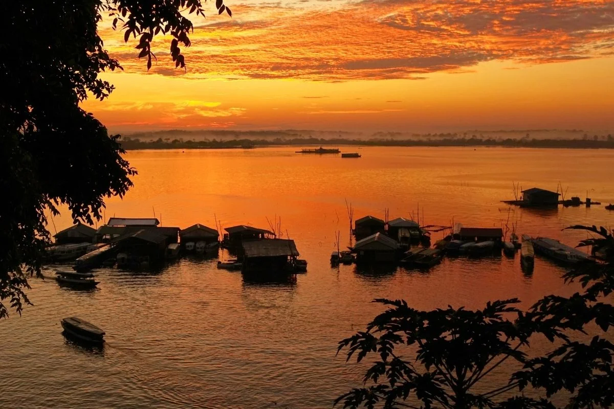  Iquitos | Protecting the Taricaya Turtle in the Amazon