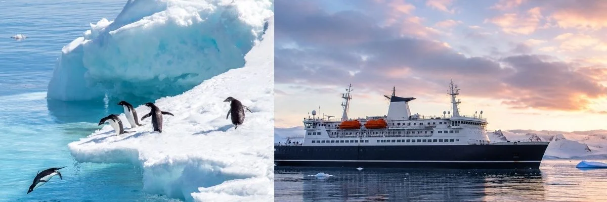  Antarctica | Terra Nova Adventurer will operate the upcoming seasons of Terra Nova Expeditions in Antarctica