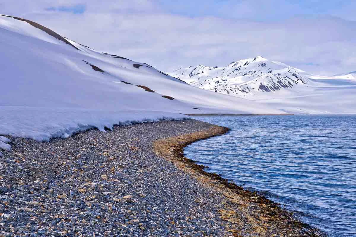 Norwegian Discovery: Svalbard and the Northern Fjords | Arctic Tours Norwegian Discovery: Svalbard and the Northern Fjords | Arctic Tours