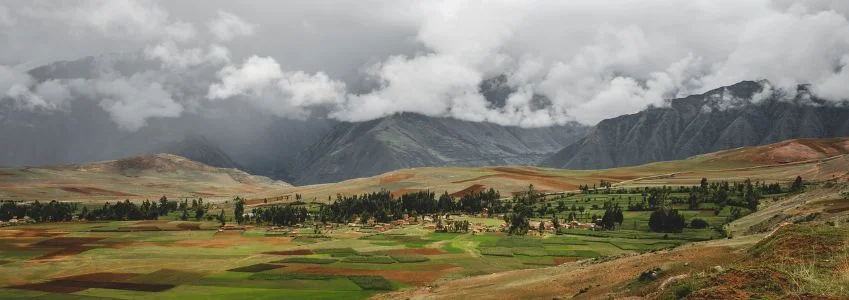  Peru | Up Close With Andean Deer at Inkaterra Hacienda Urubamba