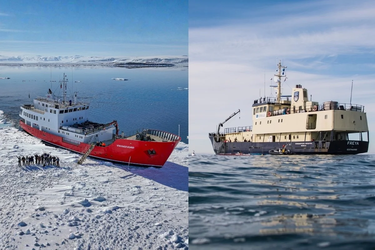  Antarctica | Vikingfjord and Freya: Arctic Cruises where exploration and onboard experiences redefine the journey with Mariano Curiel