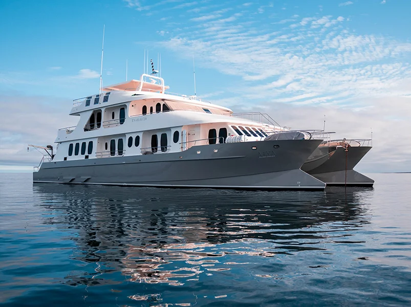 Itinerary C - Alya Catamaran | Alya | Galapagos Tours