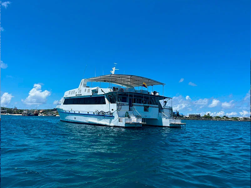 Discover the enchanted galapagos islands - Anali Catamaran | Anali | Galapagos Tours