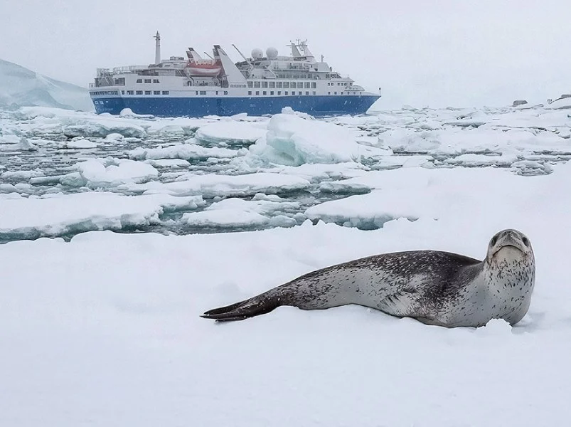 Discoverer | Cruise Ship Antarctica