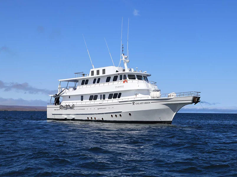Galapagos: Southeastern Adventure - Galaxy Orion Yacht | Galapagos Cruise Tours