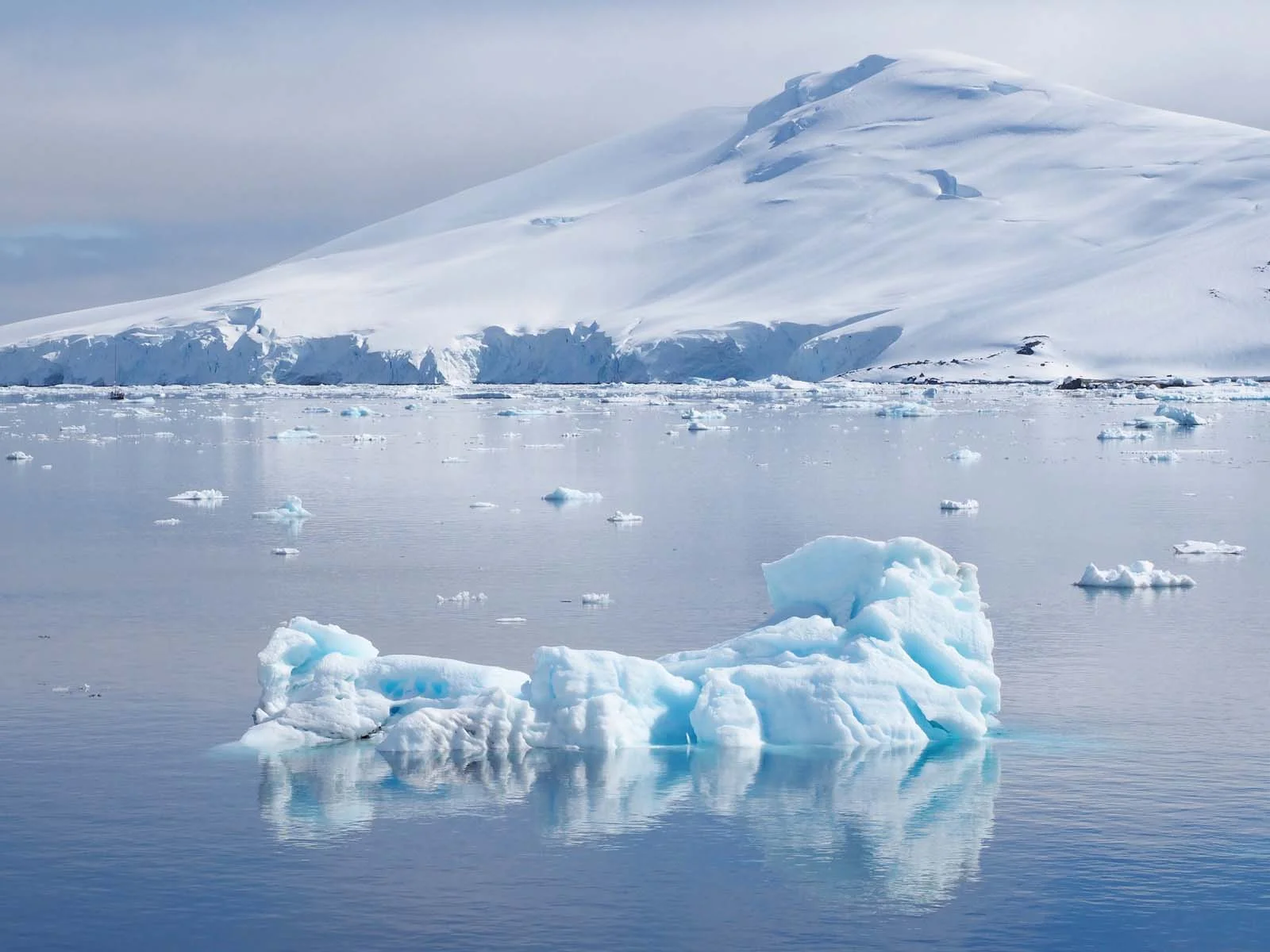 South Georgia & Antarctic Odyssey | Antarctica Tours