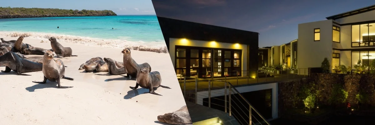  Galapagos | Explore the Galapagos: Solo Travel at Pikaia Lodge