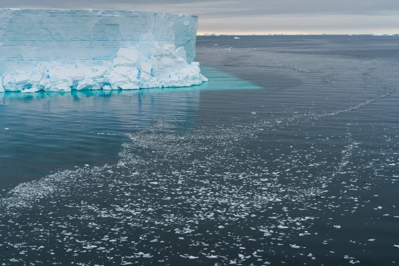  Antarctica | A surprising lesson from Antarctica: Life flourishes even under 500 feet of ice