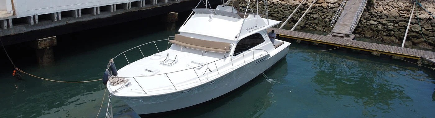 South Plazas & Carrion Point | Galaxy Daily | Galapagos Tours South Plazas & Carrion Point | Galaxy Daily | Galapagos Tours