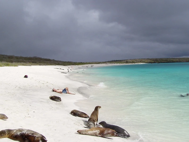 Galapagos Eastern Gems 8-Day: Genovesa & Española - Cruise Tour | Galapagos Cruise Tours